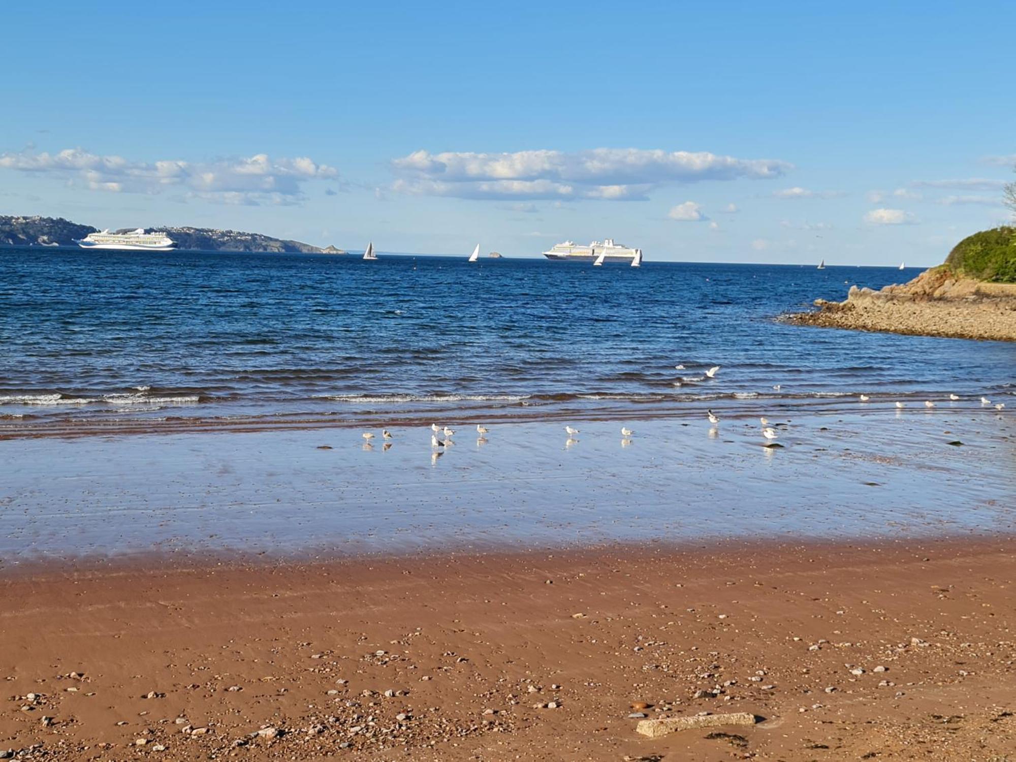 Seaspot Is A 1 Bed Annex Ground Floor Apartment At Stunning Broadsands Beach Nr Brixham! Churston Ferrers Ngoại thất bức ảnh